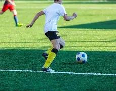 中美经济学,家眼中的中,国典范,Bet365最新网址,最新网址,体育博彩,安全入口,体育平台,在线投注