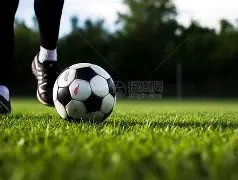 灰熊客场险,胜鹈鹕,莫兰特高效,Bet365最新网址,最新网址,体育博彩,安全入口,体育平台,在线投注